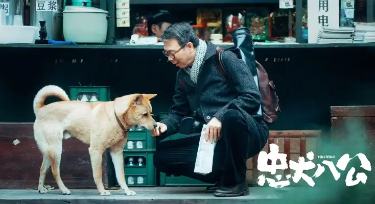 加速器看电视流畅示例